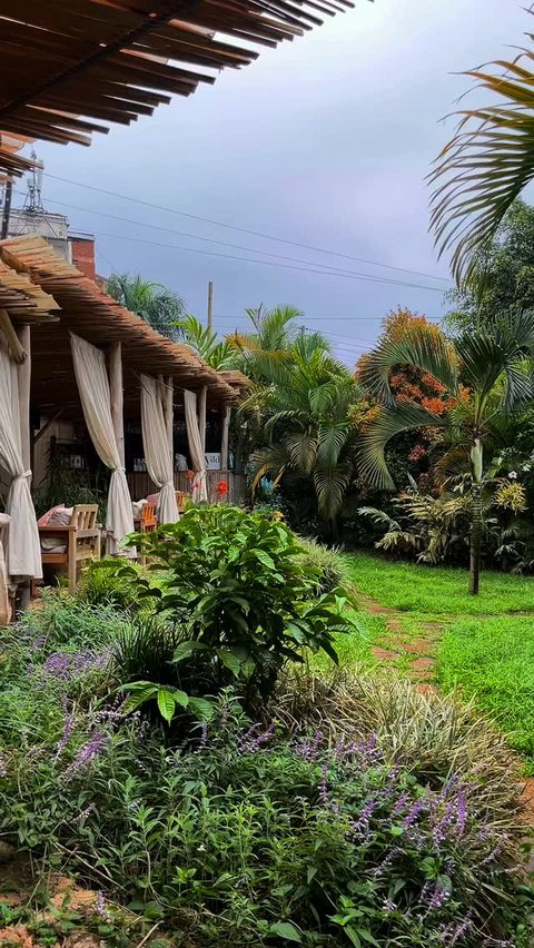 Cutest cozy coffee shops to discover.

See you at Wild Coffee Bar in Muyenga. ❤️

#coffeeshop #coffeebar #restaurant #cafe #garden #specialty