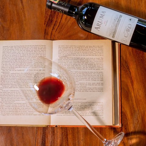 Discover a community where wine, culture, and conversation come together🥂

📍The Book Cellar, Design Quater Plot 38, Kyadondo rd. Nakasero.

#TheBookCellar #wineandbooks🍷📚 #bookloversofinstagram