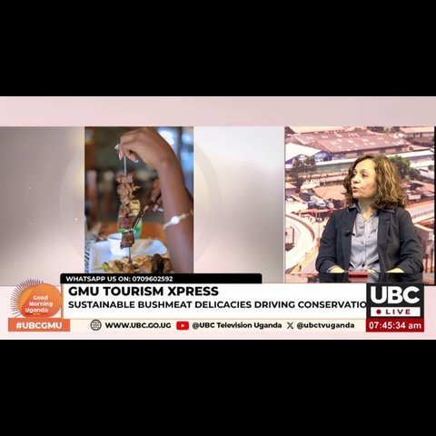 What a fulfilling morning with UBC TV Uganda on Good Morning Uganda 💙 

Thank you UBC Television Uganda and host Julie Nantaba Musisi for having our MD, Meena Patel, on 'GMU Tourism Xpress.' The conversation on “Sustainable Bushmeat Delicacies Driving Conservation” was powerful, and we’re grateful for the platform to share how Jungle Feast + The Lawns are connecting ethical sourcing to wildlife conservation. 

We appreciate UBC for hosting us and for amplifying stories that protect Uganda’s heritage while supporting communities. 

For more inquiries: 0705091278|0774484034
More conversations, more impact 👏 
#UBCGMU #GoodMorningUganda #UBCTelevision #JungleFeastUG #TheLawnsUG #SustainableBushmeat #ConservationUG