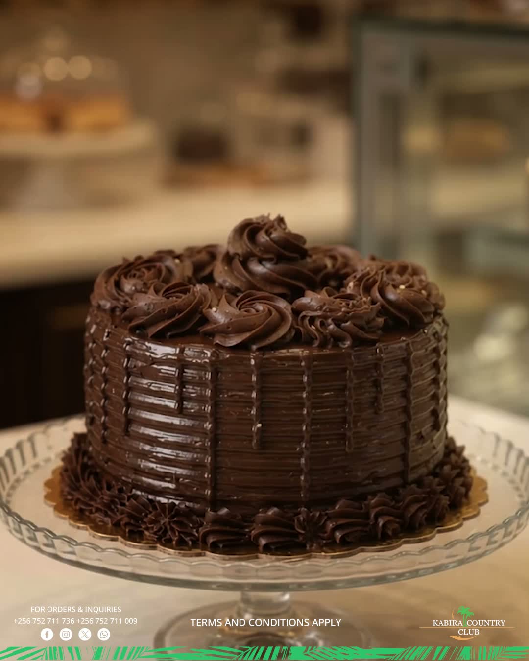 Boost your mood and sweeten your day with a delicious cake. From rich chocolate to irresistible favorites, there’s a flavor waiting to make your day better…